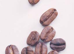 咖啡豆的选购与保存